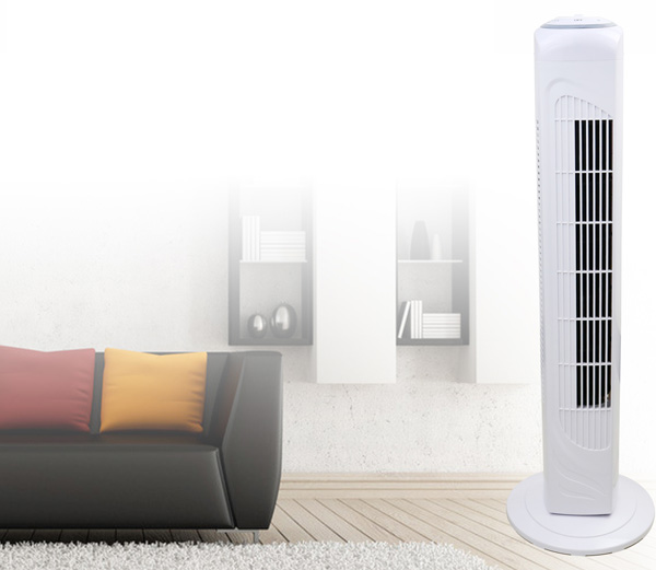 哈密瓜视频APP下载老司机苹果科普时间：塔扇是什么？