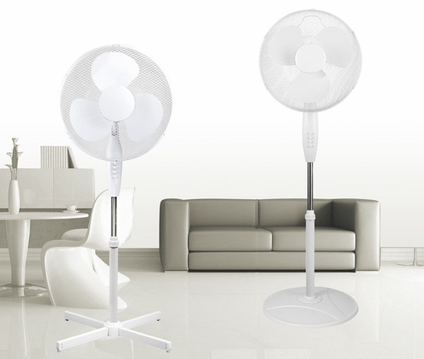 哈密瓜视频APP看黄最新版